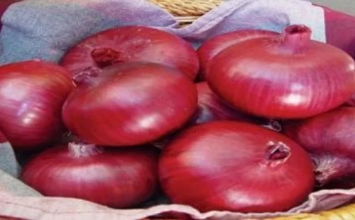 Red Big Onion - Fresh A Grade Chopped Vegetables | Common Shape, Cooked Style, Optimum Quality