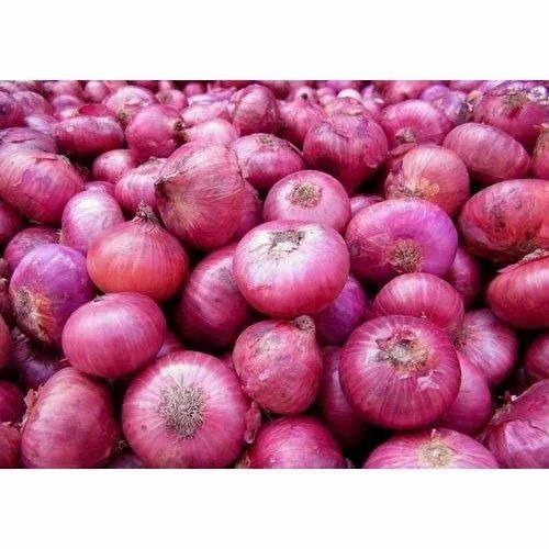 Red Onion - Fresh A Grade Cooking Vegetable | Common Chopped Style, Ideal for Culinary Applications