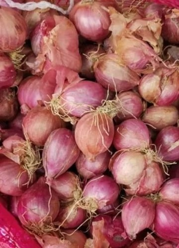 Sambar Onion - Red Color, Chopped Processing Form | Common Shape, Dry Net Bag Packaging, Cooked Style
