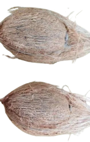 Semi Husked Coconut - Solid, Medium Size, Brown Color, 10 Kg Gunny Bag Packaging | Fresh, Common Cultivation Type, Semi-Husked Husk Type
