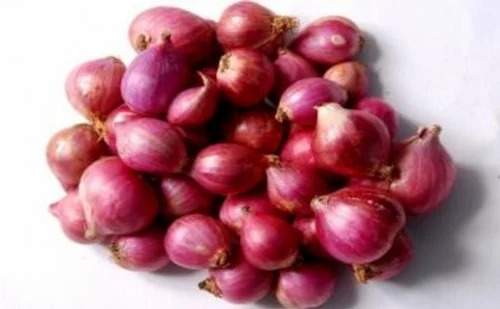Small Onion - A Grade Fresh Vegetables | Optimum Quality, Common Shape, Chopped Processing Form, Cooked Style