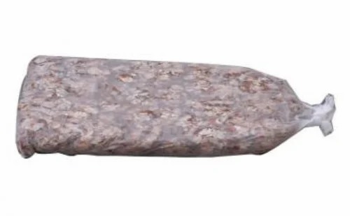 Tamarind - Cooking Grade A | Fresh Brown 10 kg Pack Size, Optimum Quality, Ideal for Culinary Uses