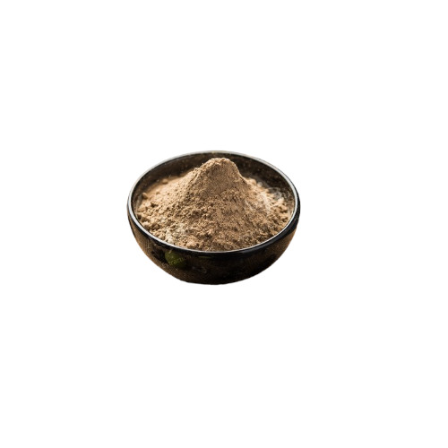 Amla Extract Powder