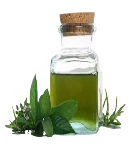 Pennyroyal Essential Oil - Liquid Organic 100% Pure Fragrance Compound | Shelf Life: 12 Months Store in Dry Place