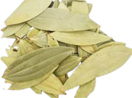 Dry Bay Leaf - Grade A | Aromatic Green Leaves for Flavoring Soups, Stews, and Curries, Anti-Inflammatory Properties, Ideal for Medicinal Teas and Earthy Meal Enhancement