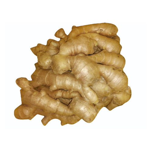Fresh Raw Gingers - Irregular Shape, Fresh Style | Stimulates Digestion & Appetite, Relieves Nausea, Supports Immune Health, Enhances Flavor