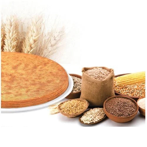 Oats Wheat Plain Khakhra - Salty, Crispy Vegetarian Snack | Perfectly Crunchy, Flavorful Indulgence for Every Craving