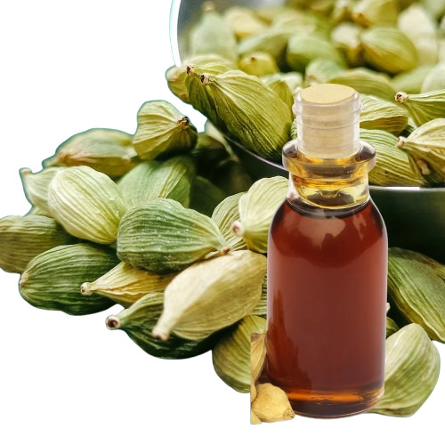 Organic Cardamom Oil