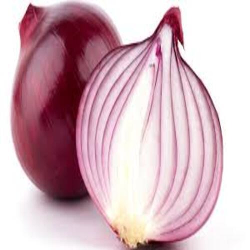 Red Onion - Moisture (%): .