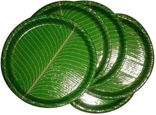 Disposable Paper Plate By R.b Areca Plates