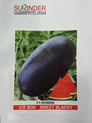 Hybrid Watermelon Seeds - Purity: 100%