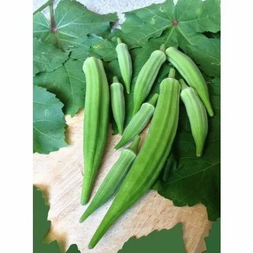 Lady Finger - A Grade, Net Bag Pack Size 25-50 Kg | Pesticide Free, Common Shape, Cooked Style, Chopped Processing Form