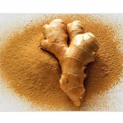 Dry Ginger Powder - A Grade, Brown | Cooking Spice, Fresh Quality, Stored in Cool and Dry Place