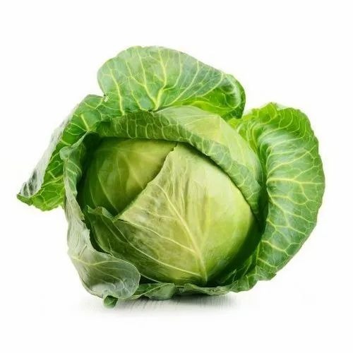 Fresh Cabbage - Pesticide Free, Organic A Grade | 25-50 Kg Gunny Bag, Chopped, Common Shape, Cooked Style
