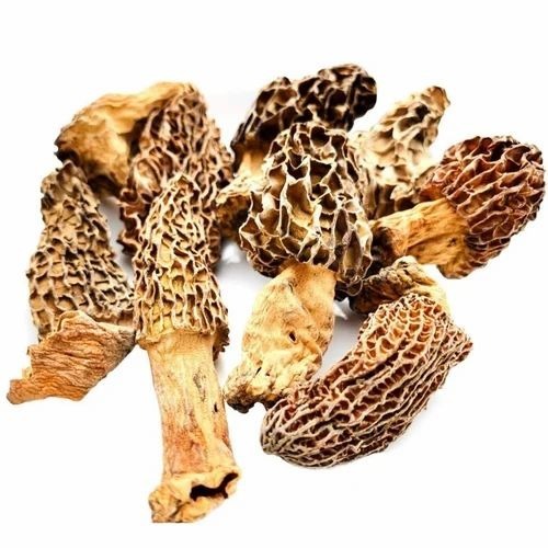 Morel Gucchi Kashmiri Mushroom - Fresh Button Mushrooms | Brown Color, Common Cultivation, Grade A