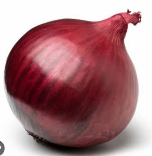 Onion - 20 Kg A Grade Pearl Onion, 60 mm Size , Common Shape, Cooked Style, Chopped Processing Form in Gunny Bag for Human Consumption