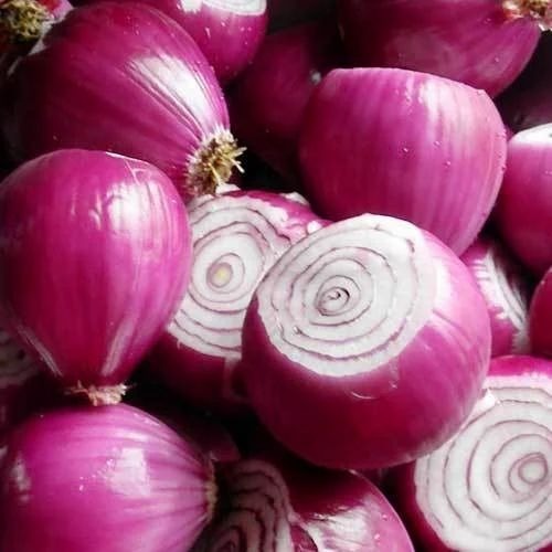 Peeled Red Onion - Fresh A Grade Cooking Vegetables, Chopped Style | Common Shape, Optimum Condition