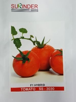 Tomato Seed - Purity: 100%