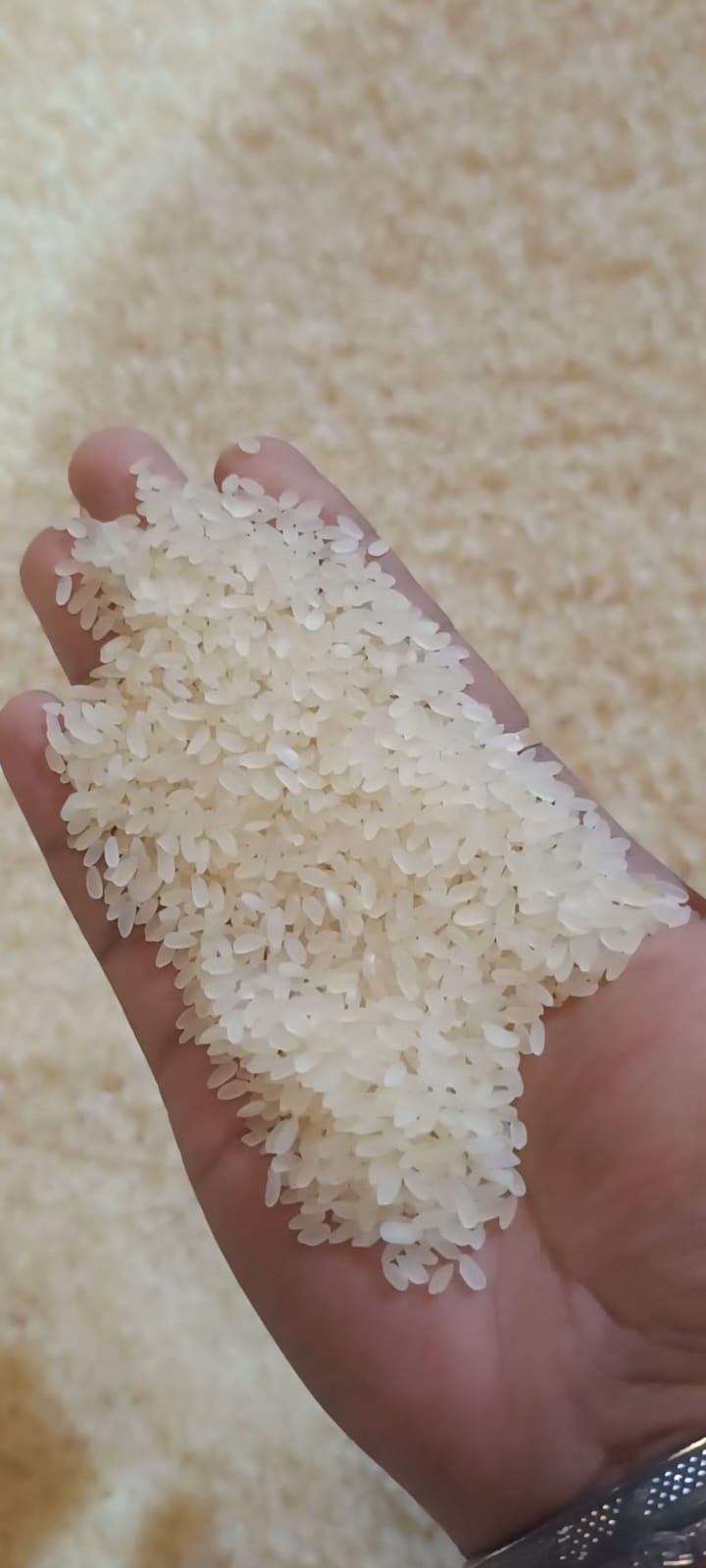 Non Basmati Rice - Color: White