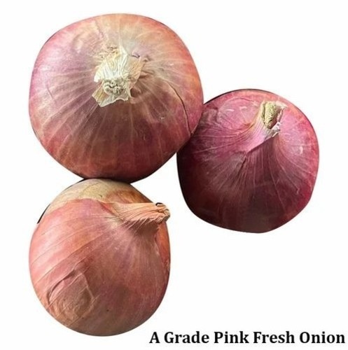 A Grade Pink Fresh Onion
