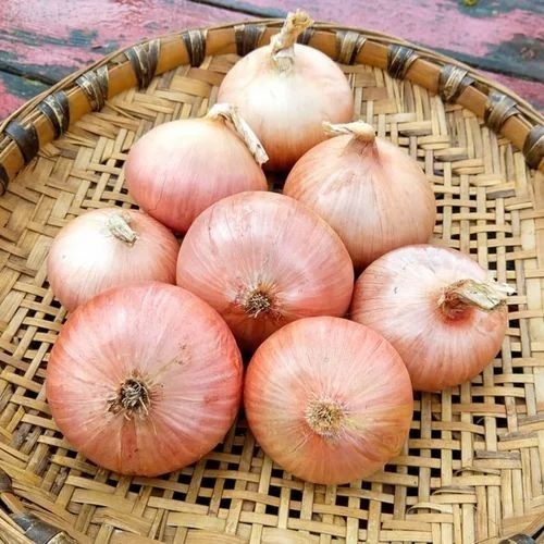 B Grade Pink Fresh Onion