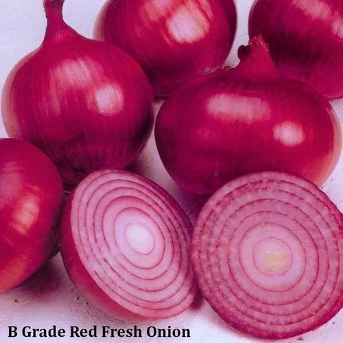 B Grade Red Fresh Onion