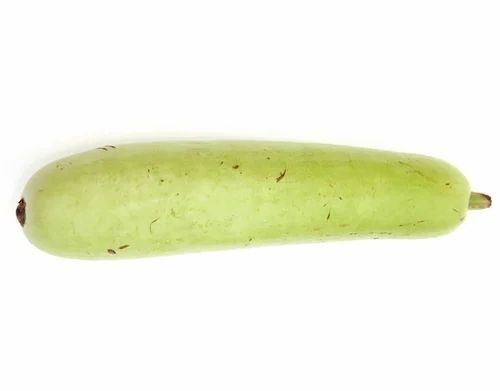Bottle Gourd - Large A Grade Green | Common Shape, Cooked Style, Chopped Processing Form, Loose Pack Size
