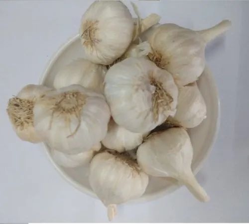 Fresh Garlic