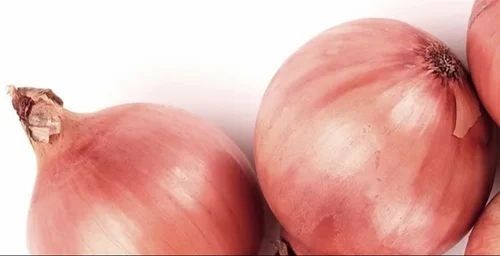 Golti Onion