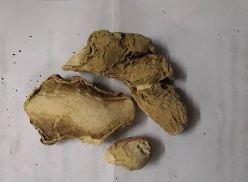Natural Dry Ginger - Dry Herb, Brown Color, 24 Months Shelf Life | Grade A, Cool And Dry Storage, Ideal For Cooking
