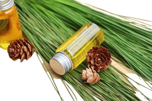 Pine Essential Oil