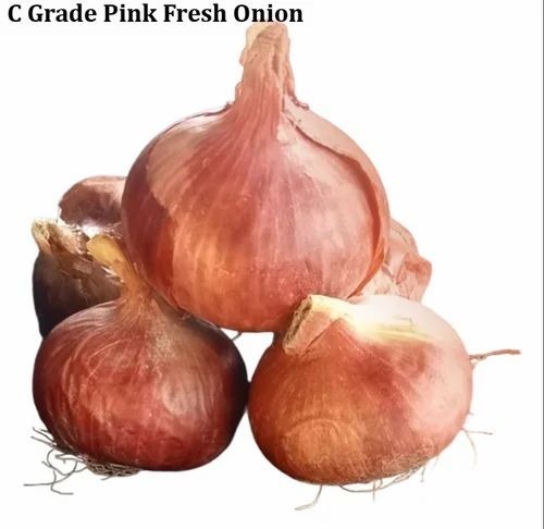 Pink Fresh Onion