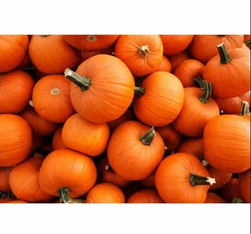 Pumpkin - Chopped 100 Kg | Pesticide Free Low Calorie Content Weight-Loss-Friendly Food Common Shape Cooked Style Store in Cool and Dry Place