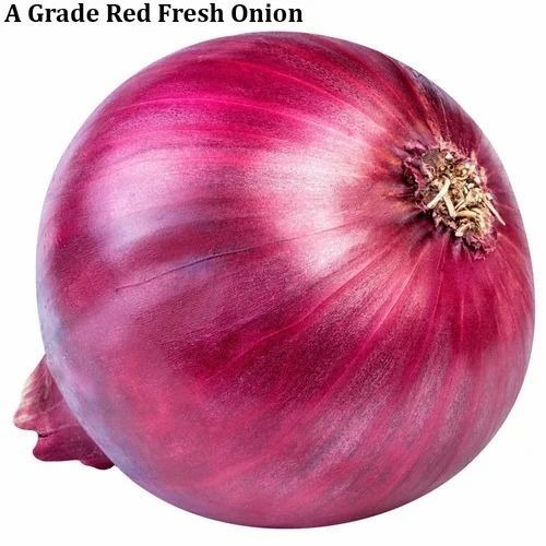 Red Fresh Onion