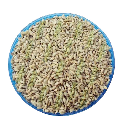 Royal Fennel Mukhwas - Granule Form, Soft Texture, Sweet Fruity Flavor | 32g Box Packaging, Ideal Mouth Freshener with Sweet Taste