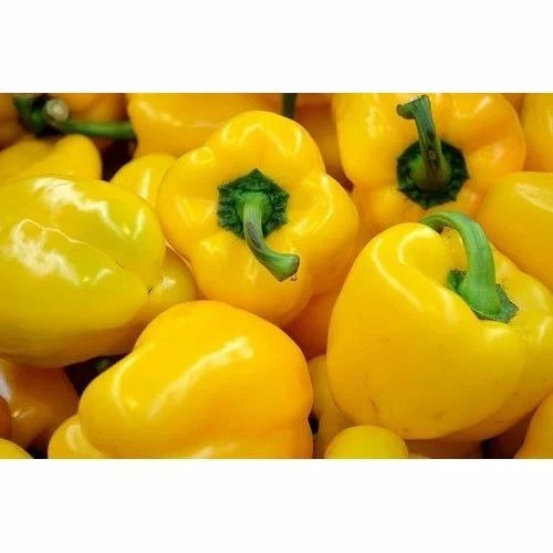 Yellow Capsicum - Fresh Vegetables A Grade | Common Shape Chopped Style Cooked Processing Form Optimum Quality