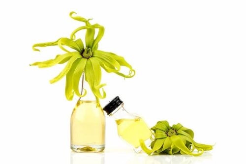 Ylang Ylang Essential Oil