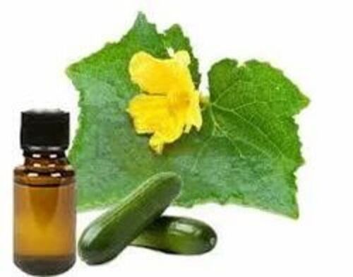 Cucumber Seed Oil