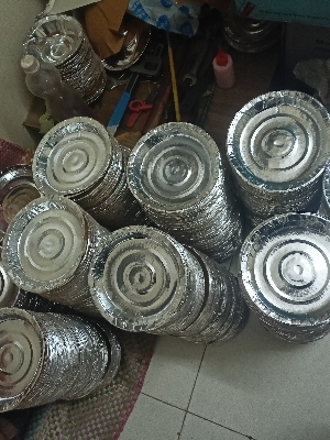 Disposable Paper Plates - Color: Silver