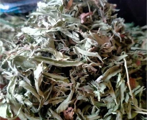 Green Stevia Leaves - Organic Dried Loose Leaves, 100% Purity with Solvent Extraction for Enhanced Flavor and Natural Sweetness
