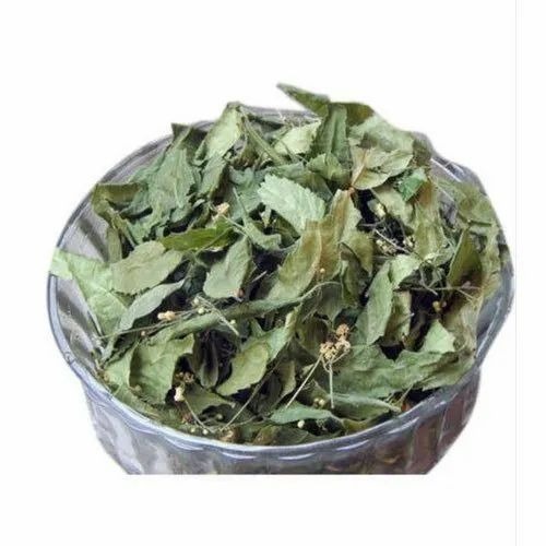 Neem Leaves