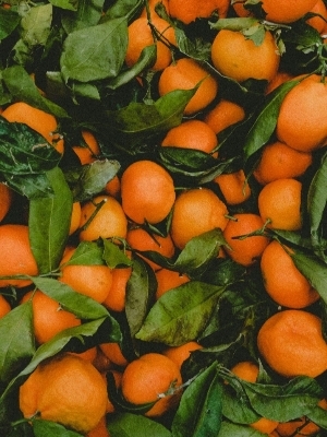 Orange Fruit - Origin: India