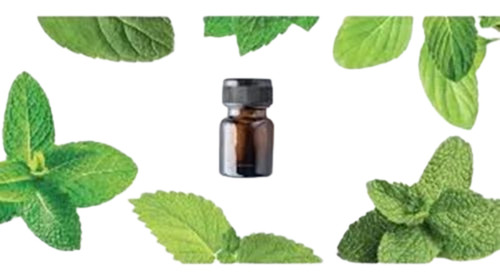 Peppermint Essential Oil