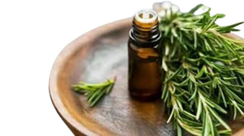 Rosemary Essential Oil