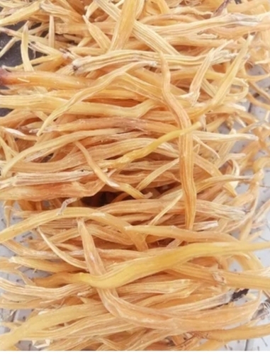 Shatavari Roots - Color: Yollow