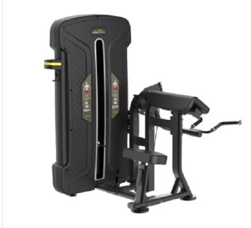 Biceps Curl Machine