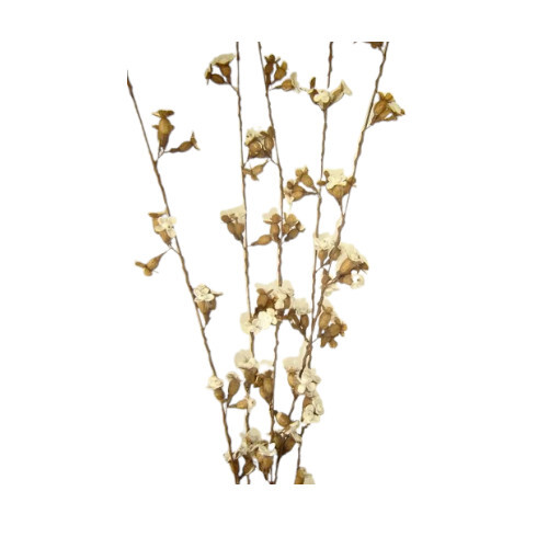 Sola Stem Flowers - Natural Sola Wood, Decorative White Finish | Eco-Friendly, Handmade for Home and Wedding Decoration