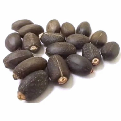 Black Jatropha Seeds