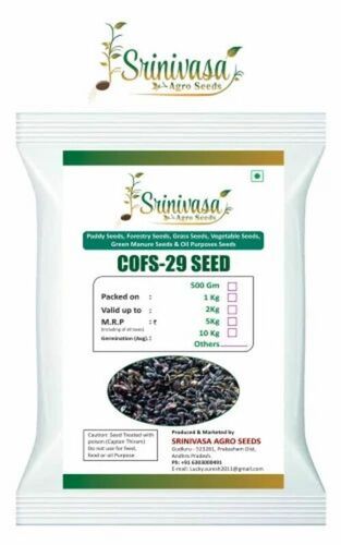 Cofs29 Grass Seeds - 1 Kilogram Packet, Brown Color, Purity 99%, Shelf Life 9 Months | Suitable for Agricultural Applications