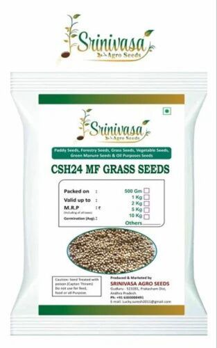 Csh24mf Seeds - 1 Kilogram Weight, 99% Purity | Good Packaging Type, Shelf Life of 9 Months, Ideal for Fodder Application